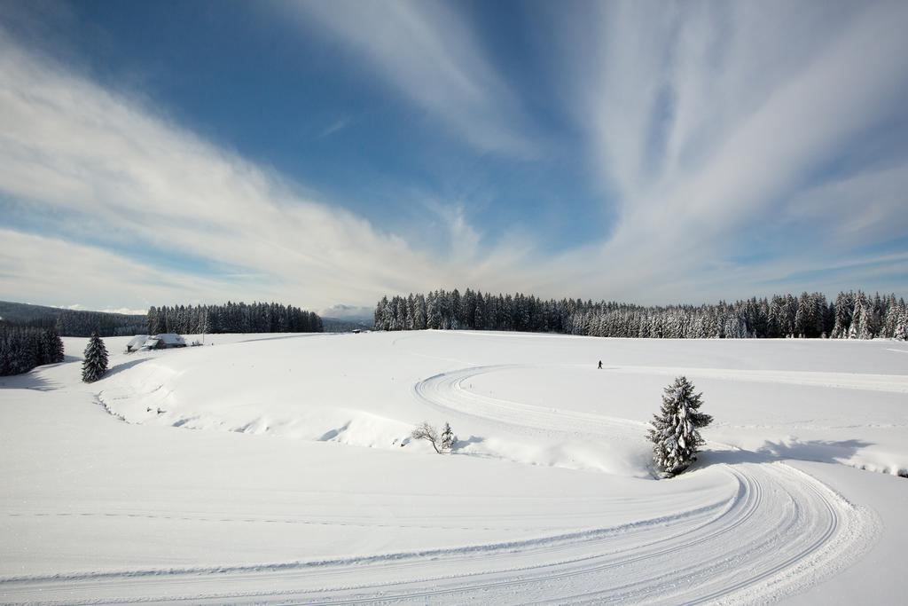 Gasthaus Zum Hirschen Furtwangen Eksteriør billede